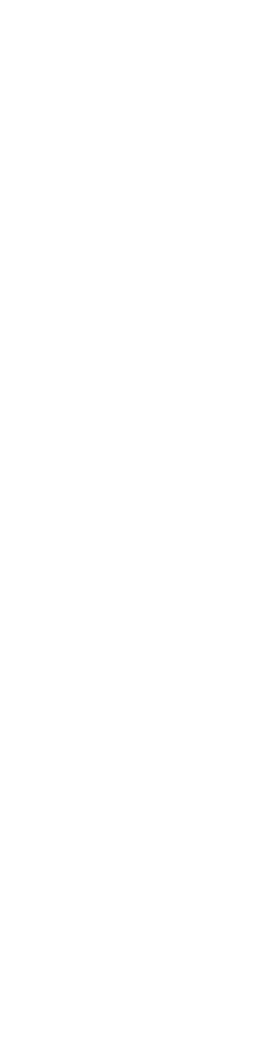 猫の足跡