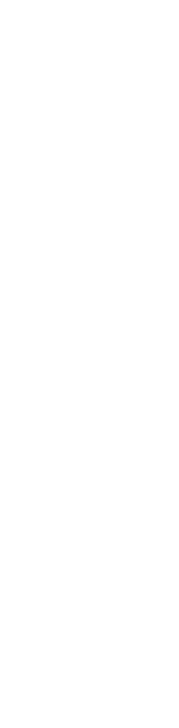 猫の足跡